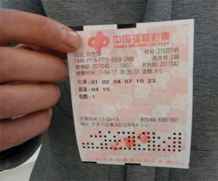 国产肝交视频在线观看