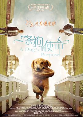女护士的人工呼吸