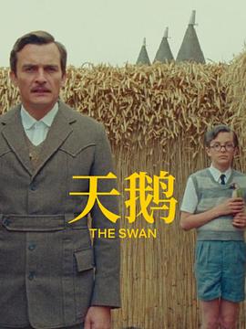 中文字幕在线精品不卡