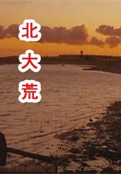 日韩高清不卡在线