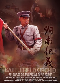 香蕉在线播放
