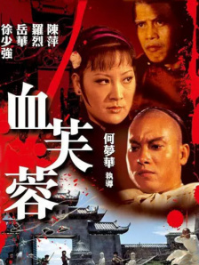 h片网