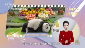 三级大乳播放三级