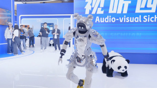 91网站免费看